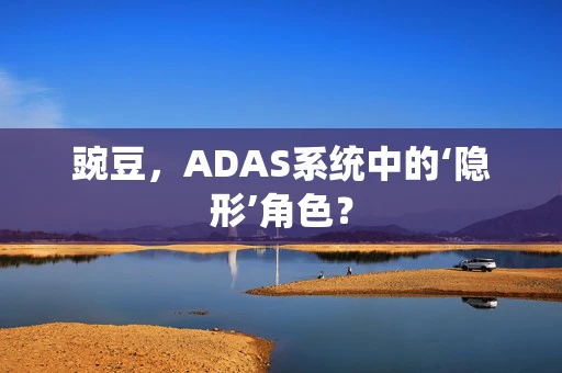 豌豆，ADAS系统中的‘隐形’角色？