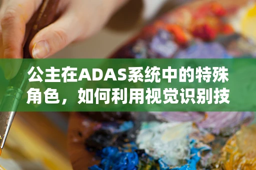 公主在ADAS系统中的特殊角色，如何利用视觉识别技术保障其安全出行？