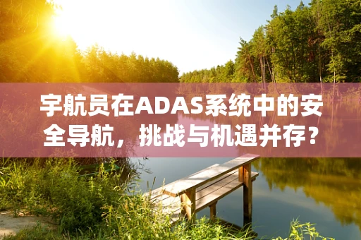 宇航员在ADAS系统中的安全导航，挑战与机遇并存？