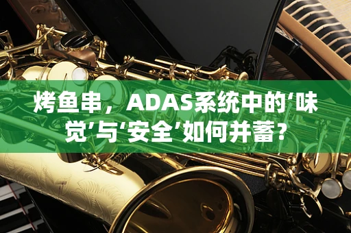 烤鱼串，ADAS系统中的‘味觉’与‘安全’如何并蓄？