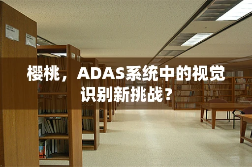 樱桃，ADAS系统中的视觉识别新挑战？