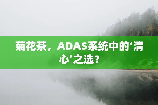 菊花茶，ADAS系统中的‘清心’之选？