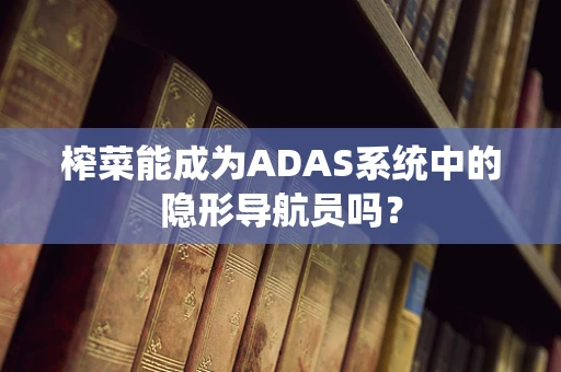 榨菜能成为ADAS系统中的隐形导航员吗？