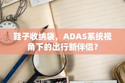 鞋子收纳袋，ADAS系统视角下的出行新伴侣？