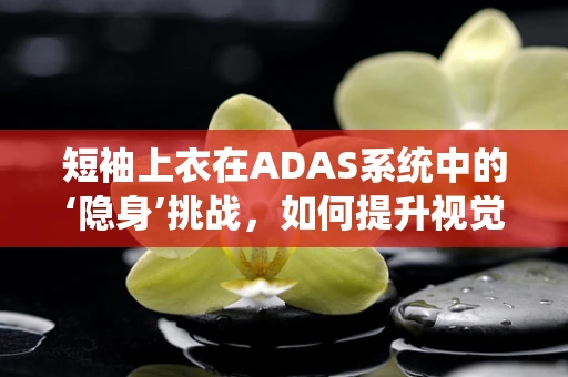 短袖上衣在ADAS系统中的‘隐身’挑战，如何提升视觉识别精度？