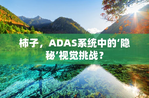 柿子，ADAS系统中的‘隐秘’视觉挑战？