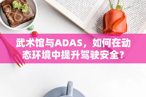 武术馆与ADAS，如何在动态环境中提升驾驶安全？