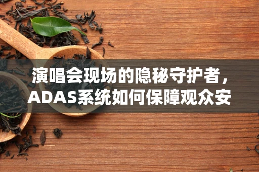 演唱会现场的隐秘守护者，ADAS系统如何保障观众安全？