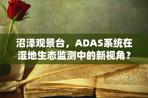 沼泽观景台，ADAS系统在湿地生态监测中的新视角？