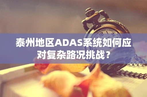 泰州地区ADAS系统如何应对复杂路况挑战？