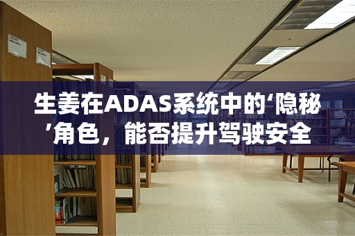 生姜在ADAS系统中的‘隐秘’角色，能否提升驾驶安全？