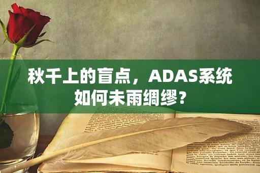 秋千上的盲点，ADAS系统如何未雨绸缪？