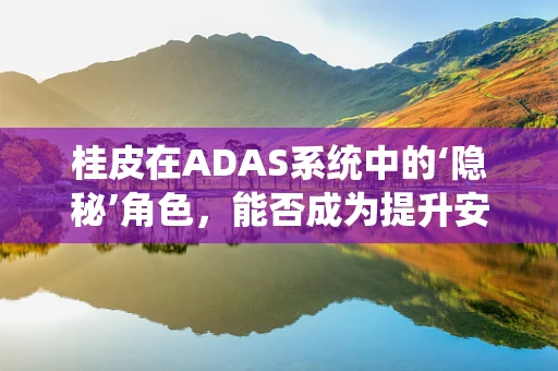 桂皮在ADAS系统中的‘隐秘’角色，能否成为提升安全性能的秘密武器？