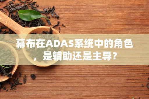 幕布在ADAS系统中的角色，是辅助还是主导？