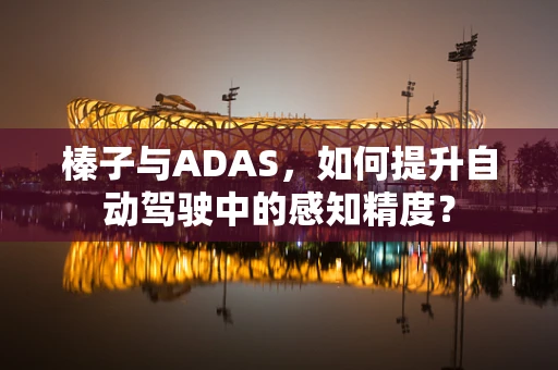 榛子与ADAS，如何提升自动驾驶中的感知精度？