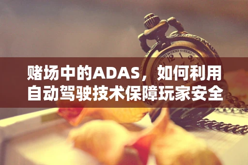 赌场中的ADAS，如何利用自动驾驶技术保障玩家安全？