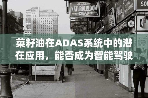 菜籽油在ADAS系统中的潜在应用，能否成为智能驾驶的‘绿色燃料’？