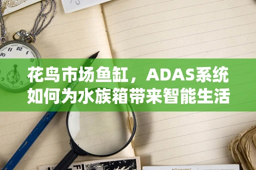 花鸟市场鱼缸，ADAS系统如何为水族箱带来智能生活？
