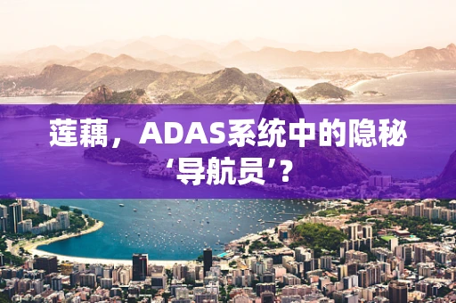 莲藕，ADAS系统中的隐秘‘导航员’？
