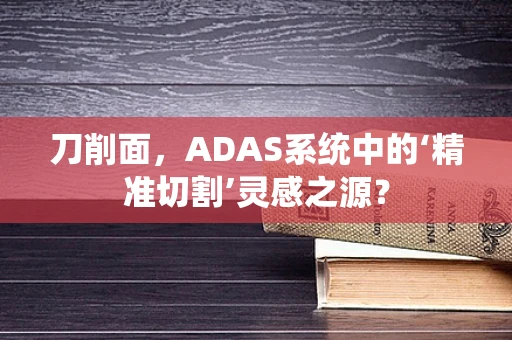 刀削面，ADAS系统中的‘精准切割’灵感之源？