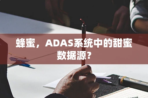 蜂蜜，ADAS系统中的甜蜜数据源？