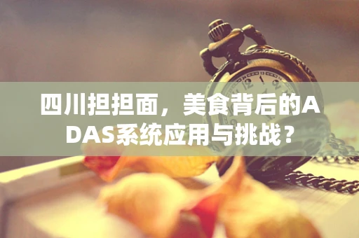 四川担担面，美食背后的ADAS系统应用与挑战？