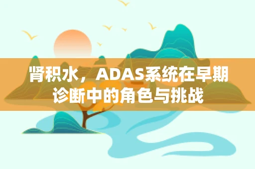 肾积水，ADAS系统在早期诊断中的角色与挑战