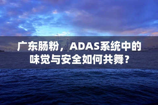 广东肠粉，ADAS系统中的味觉与安全如何共舞？