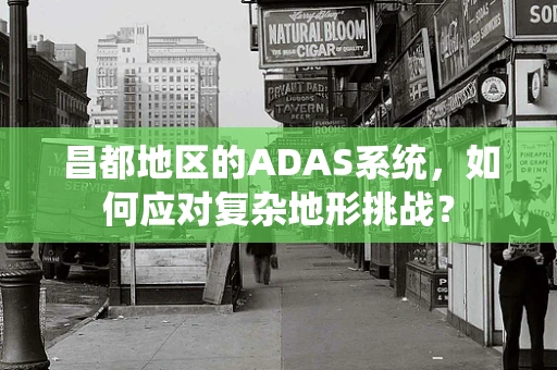 昌都地区的ADAS系统，如何应对复杂地形挑战？