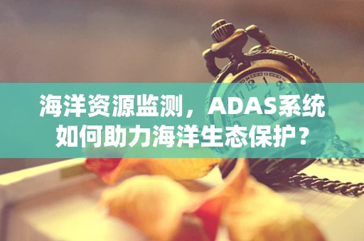 海洋资源监测，ADAS系统如何助力海洋生态保护？