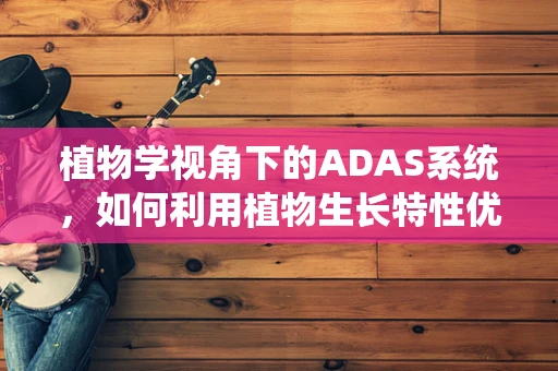 植物学视角下的ADAS系统，如何利用植物生长特性优化自动驾驶安全？