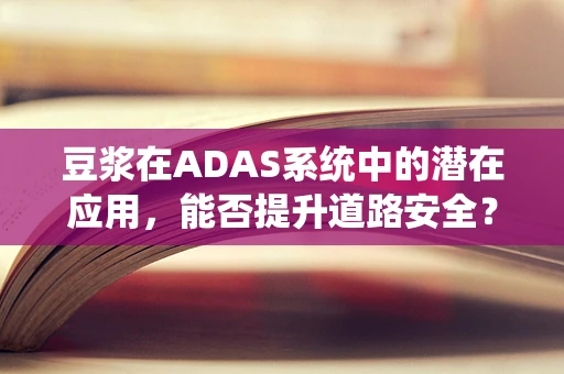 豆浆在ADAS系统中的潜在应用，能否提升道路安全？