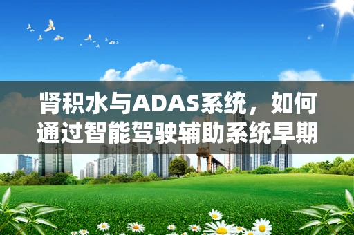 肾积水与ADAS系统，如何通过智能驾驶辅助系统早期发现并预警？