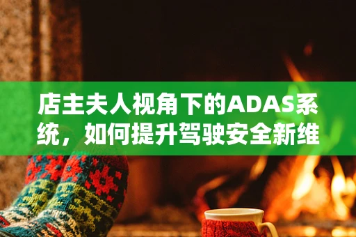 店主夫人视角下的ADAS系统，如何提升驾驶安全新维度？
