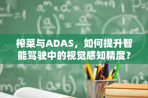 榨菜与ADAS，如何提升智能驾驶中的视觉感知精度？