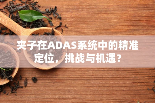 夹子在ADAS系统中的精准定位，挑战与机遇？