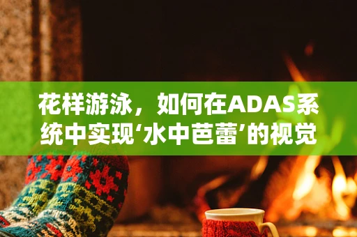 花样游泳，如何在ADAS系统中实现‘水中芭蕾’的视觉安全？