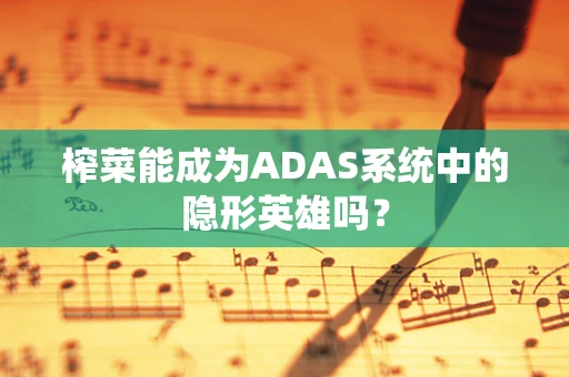 榨菜能成为ADAS系统中的隐形英雄吗？