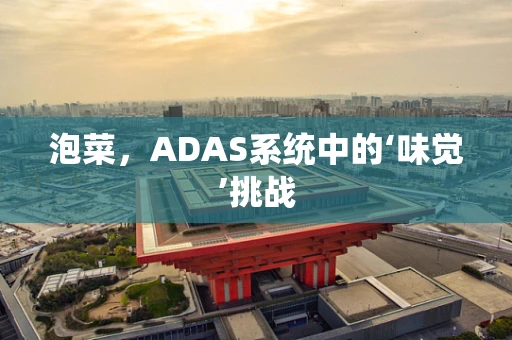 泡菜，ADAS系统中的‘味觉’挑战