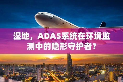 湿地，ADAS系统在环境监测中的隐形守护者？