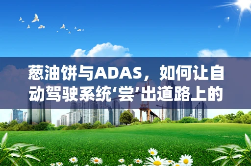 葱油饼与ADAS，如何让自动驾驶系统‘尝’出道路上的‘香’？