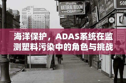 海洋保护，ADAS系统在监测塑料污染中的角色与挑战？