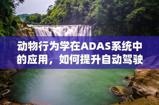 动物行为学在ADAS系统中的应用，如何提升自动驾驶汽车的动物检测能力？