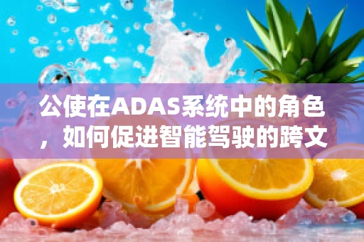 公使在ADAS系统中的角色，如何促进智能驾驶的跨文化交流？