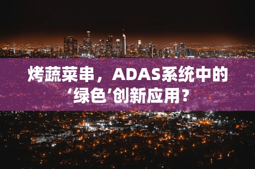 烤蔬菜串，ADAS系统中的‘绿色’创新应用？