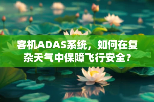 客机ADAS系统，如何在复杂天气中保障飞行安全？