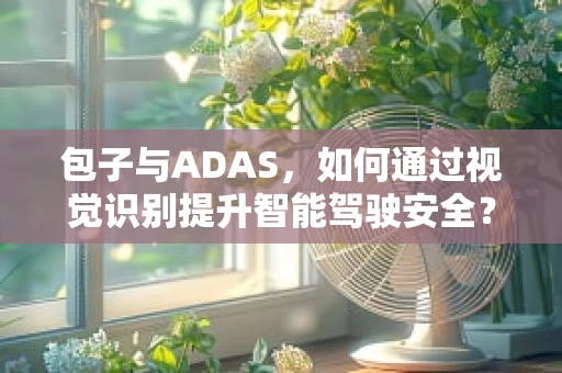 包子与ADAS，如何通过视觉识别提升智能驾驶安全？