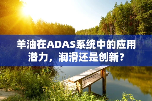 羊油在ADAS系统中的应用潜力，润滑还是创新？