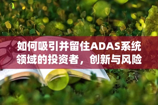 如何吸引并留住ADAS系统领域的投资者，创新与风险平衡的艺术