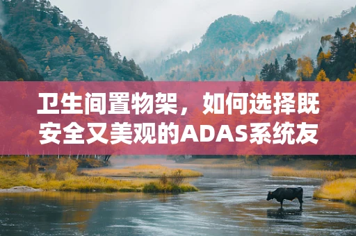 卫生间置物架，如何选择既安全又美观的ADAS系统友好设计？